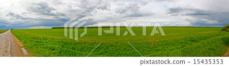 Green grass field panorama 15435353