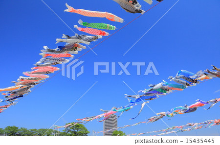 Swimming Carp streamer Sagami River 15435445
