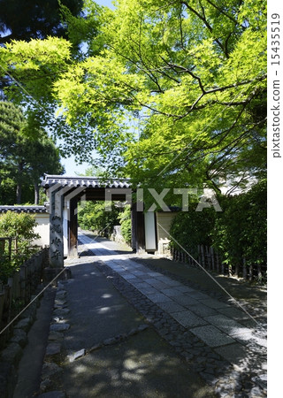 Ryoanji approaching path, fresh green Ryoanji approaching path, fresh green 15435519