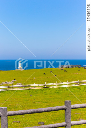 Early summer ranch and lighthouse length Early summer ranch and lighthouse length 15436398