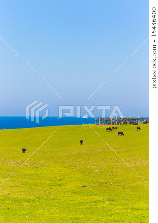 初夏的垂直 15436400