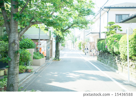 街道樹木和住宅區 15436588