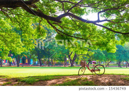 Red bicycle on green grass in morning Red bicycle on green grass in morning 15436749