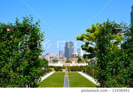 大阪中之島公園的風景 大阪中之島公園的風景 15436941