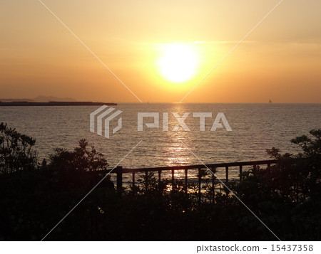 在晚上公園 在晚上公園 15437358