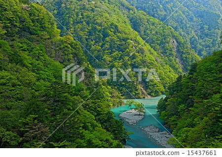 懸索橋 15437661