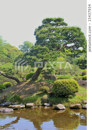 Suizenji公園 Suizenji公園 15437934