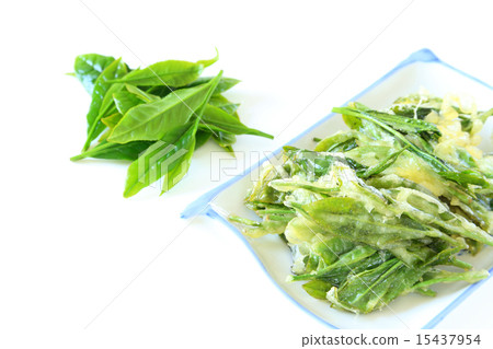 茶葉天婦羅 15437954