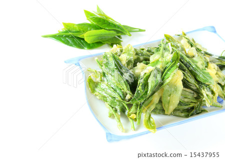 茶葉天婦羅 15437955