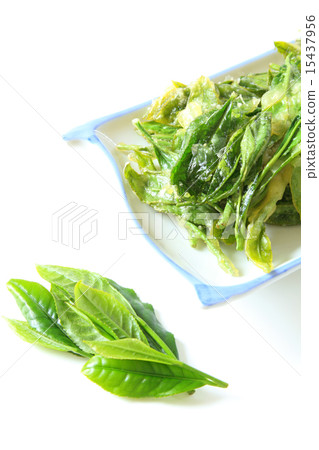 茶葉天婦羅 15437956