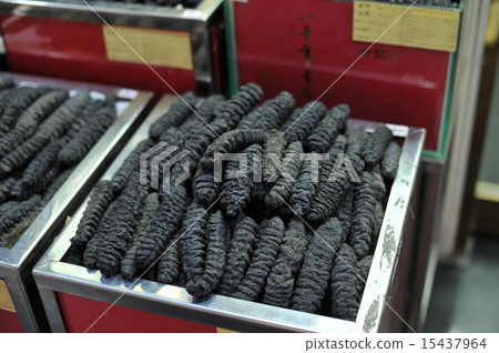 Dried sea cucumber Dried sea cucumber 15437964