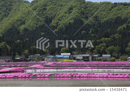 Shibakura no Sato Shibakura no Sato 15438471