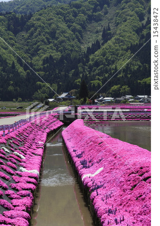 Shibakura no Sato Shibakura no Sato 15438472