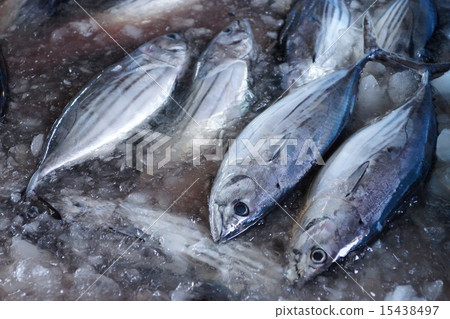 Deep-fried bonito 15438497