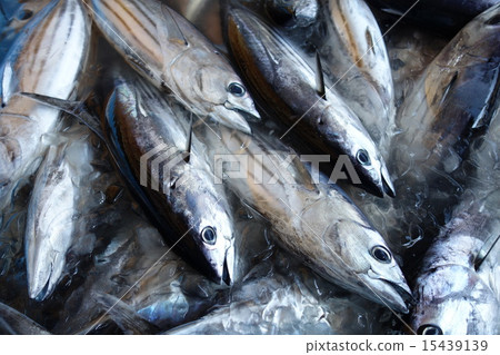 Deep-fried bonito 15439139