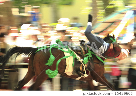 Fujimori Shrine Yuma Kamikaze Fujimori Shrine Yuma Kamikaze 15439665