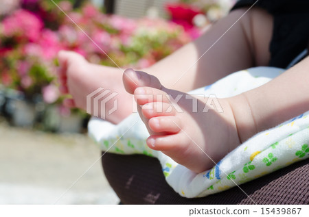 Baby's foot 15439867