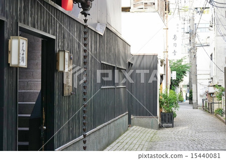 東京高度回到胡同 15440081