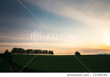 Mild sunny hill of the morning glow Mild sunny hill of the morning glow 15440544