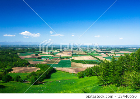 十勝平原 15440550