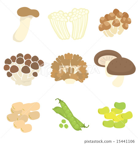 Mushrooms and beans 9 kinds of set 15441106