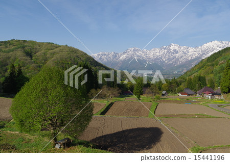 信州白馬村藍色食人魔(藍色)定居點的春天,尋找降雪的北阿爾卑斯山 信州白馬村藍色食人魔(藍色)定居點的春天,尋找降雪的北阿爾卑斯山 15441196