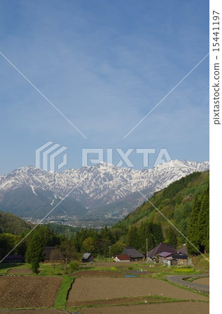 Shinshu Hakuba village blue ogre (in the blue) Spring of the settlement, looking for the northern alps of the snowfall 15441197
