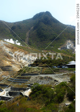 箱根大涌谷 15441238