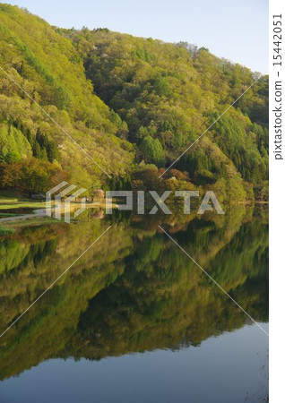 Shinshu Spring Nakanishiko (Nishina Sanko) 15442051