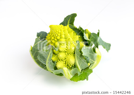 Romanesco 15442246