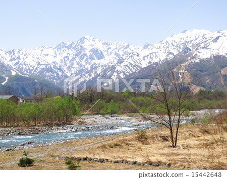 Spring Hakuba mountain foot 15442648