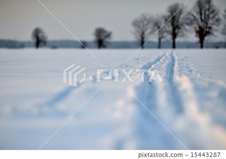 trail trail 15443287