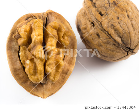 walnuts walnuts 15443304