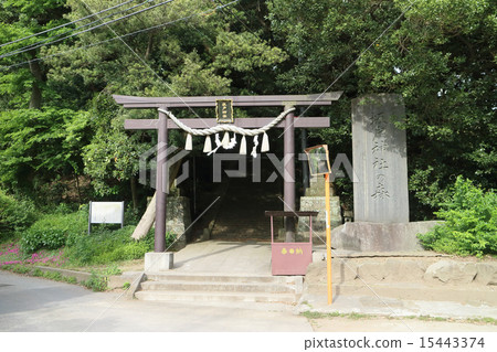 Sakado Shrine's Forest (Sodegaura City, Chiba Prefecture) 15443374