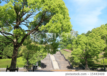 學院公園（千葉縣木更津市） 15443409