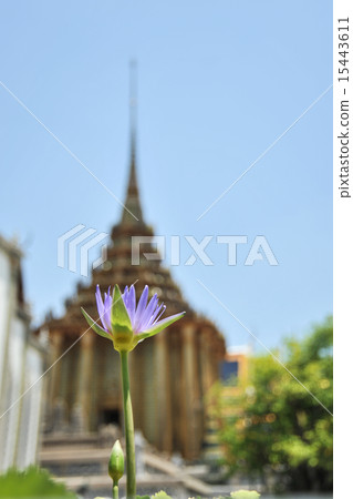 Thailand, Bangkok, Emerald Temple 15443611