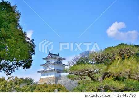 Akashi城堡和藍天 15443780