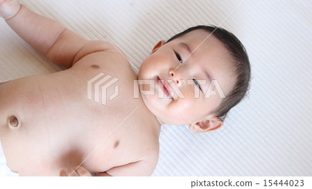 寶貝（4個月） 15444023