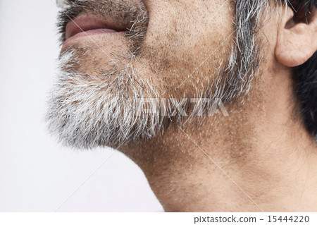 50多歲的男人留著鬍子 15444220