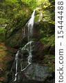 春天的瀑布 15444488
