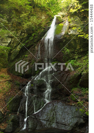 春天的瀑布 春天的瀑布 15444488