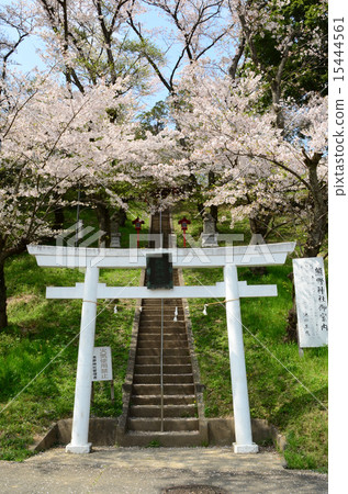 Kumano Shrine 15444561