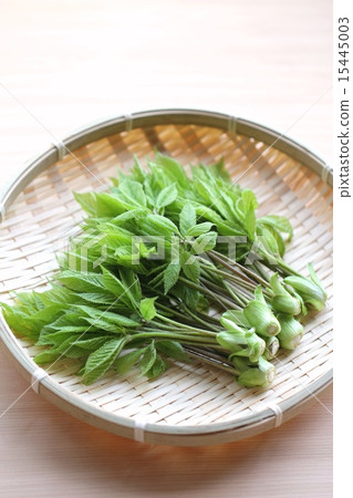 Kosi bra was taken 15445003