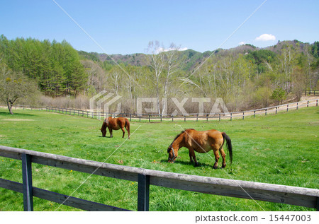 Kiso Ma（Kiso Ma的村莊） 15447003