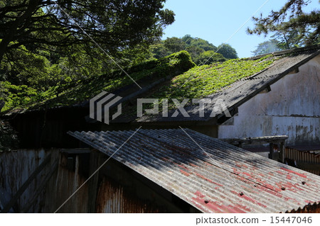 廢棄的房子 15447046