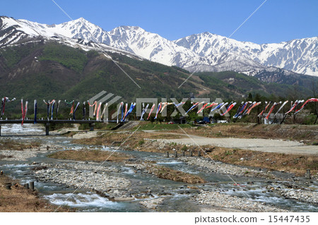 Hakuba Miyama and carp streamers 15447435