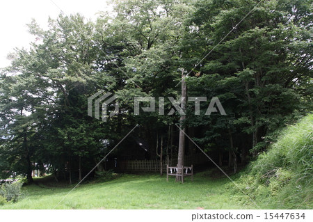 Su訪大社 Su訪大社 15447634