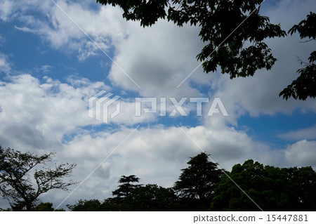 天空 天空 15447881