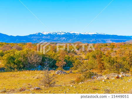 near Peleta village in southern Greece near Peleta village in southern Greece 15449051