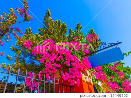 in Santorini island in Greece 15449502